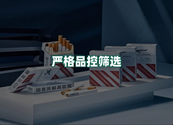 核心优势